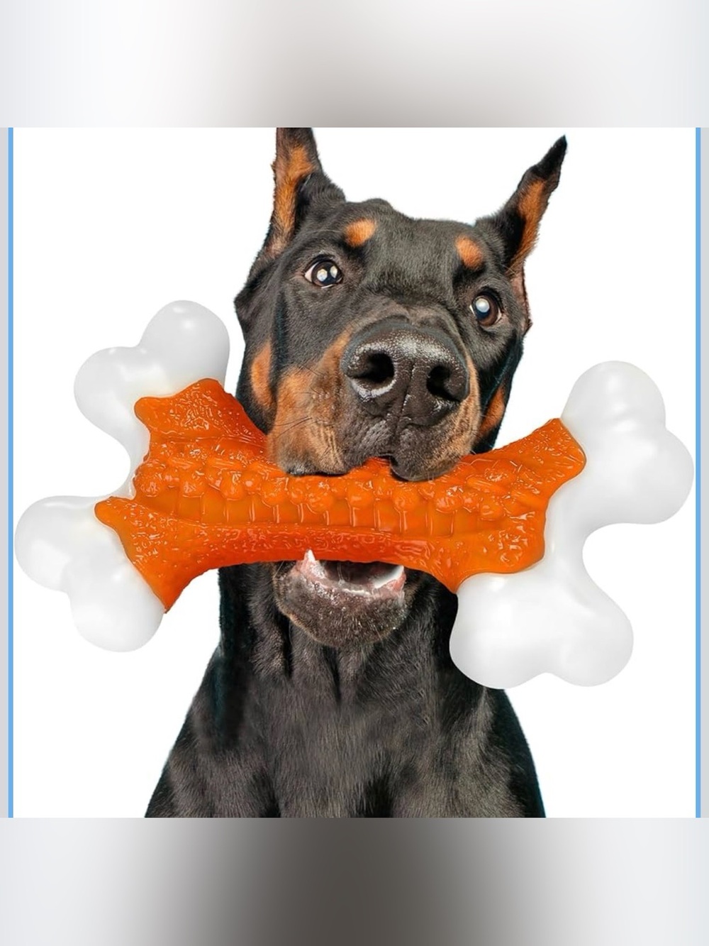 Durable Orange & White Dog Chew Bone Toy - Tough Rubber Fetch Toy NWT